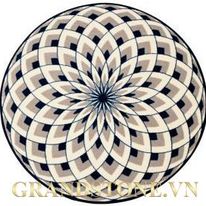 132611494 405415290696619 5977118156965661464 n - Đ&Aacute; HOA VĂN TR&Ograve;N